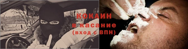 трава Бронницы