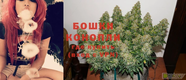 бошки Бородино