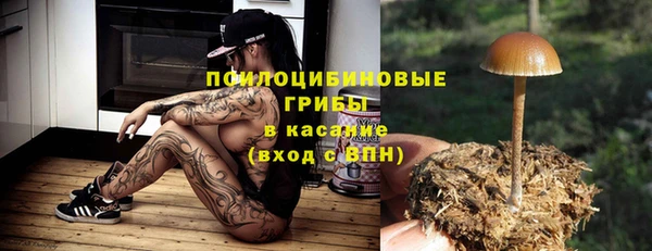 трава Бронницы