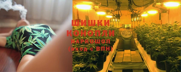 трава Бронницы